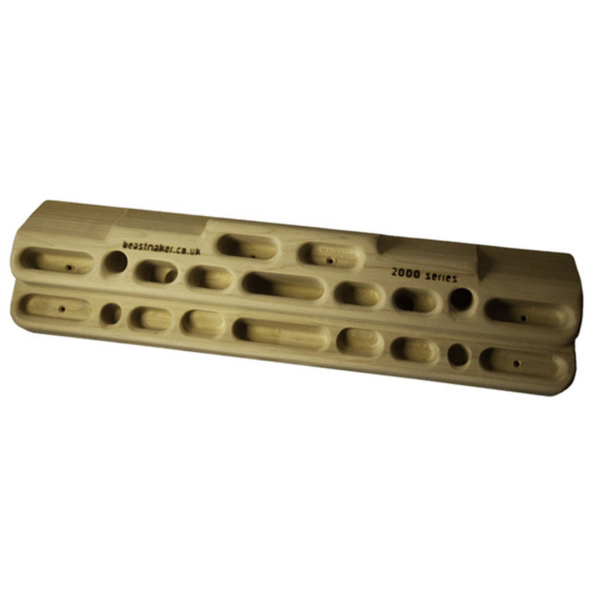 foto del prodotto beastmaker trave beastmaker 2000