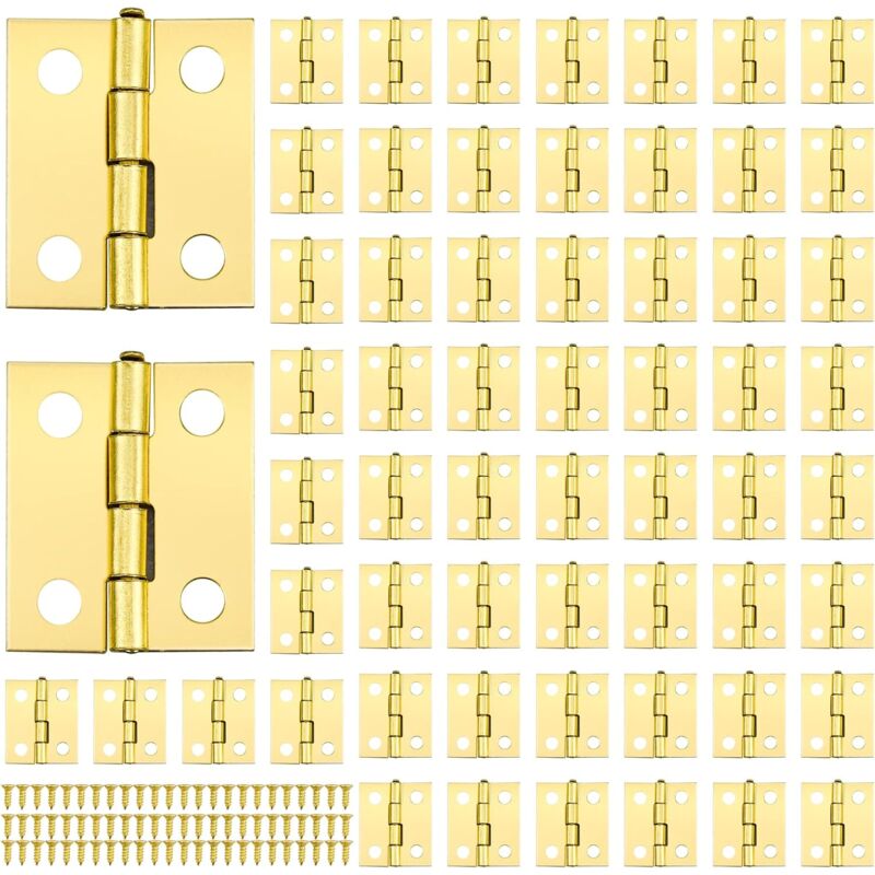 foto del prodotto bebusingoto 60 cerniere in ottone in miniatura con 240 viti per modello fai da te j box