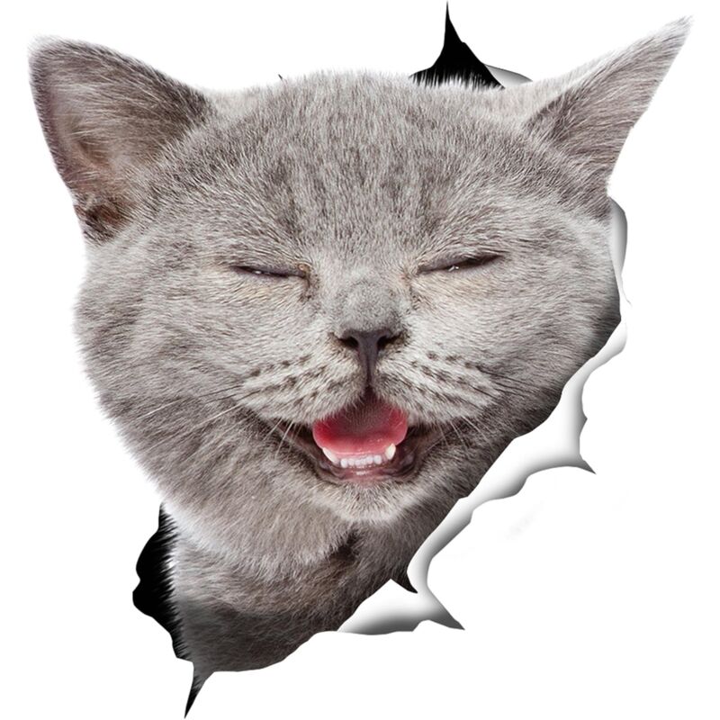foto del prodotto bebusingoto adesivi 3d gatto set di 2 adesivi gatto grigio ridente per parete frigorifero wc auto