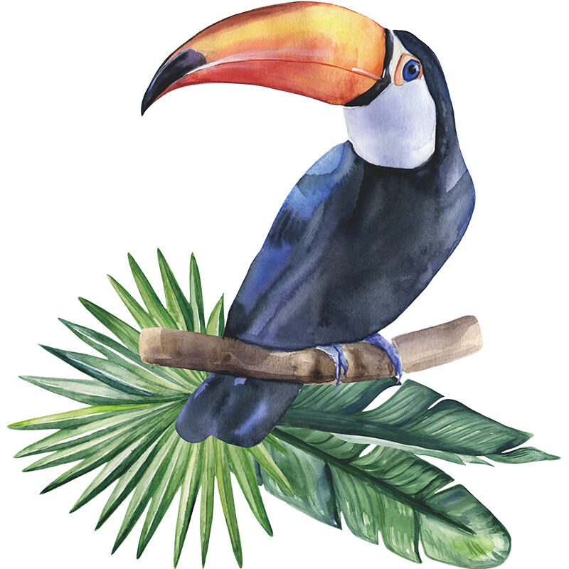 foto del prodotto bebusingoto adesivi murali in vinile 3d realistici, bellissimi e carini, con uccelli tucani, adesivi murali rimovibili, decorazioni artistiche per