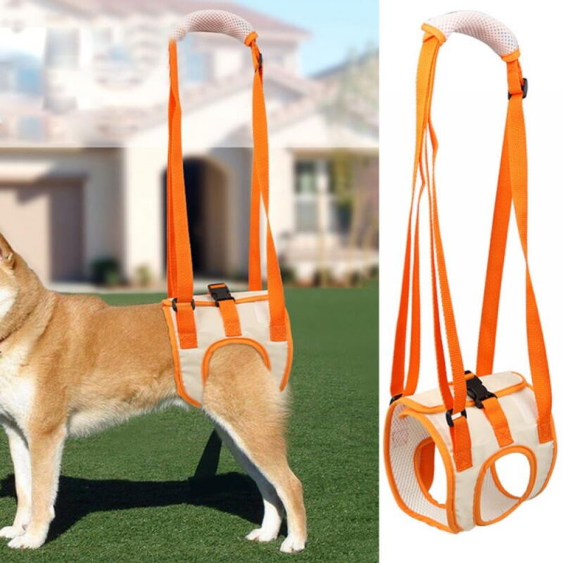 foto del prodotto bebusingoto imbracatura di supporto per la schiena del cane per aiutare i cani con lesioni, artrite m , zampe posteriori in posizione eretta,