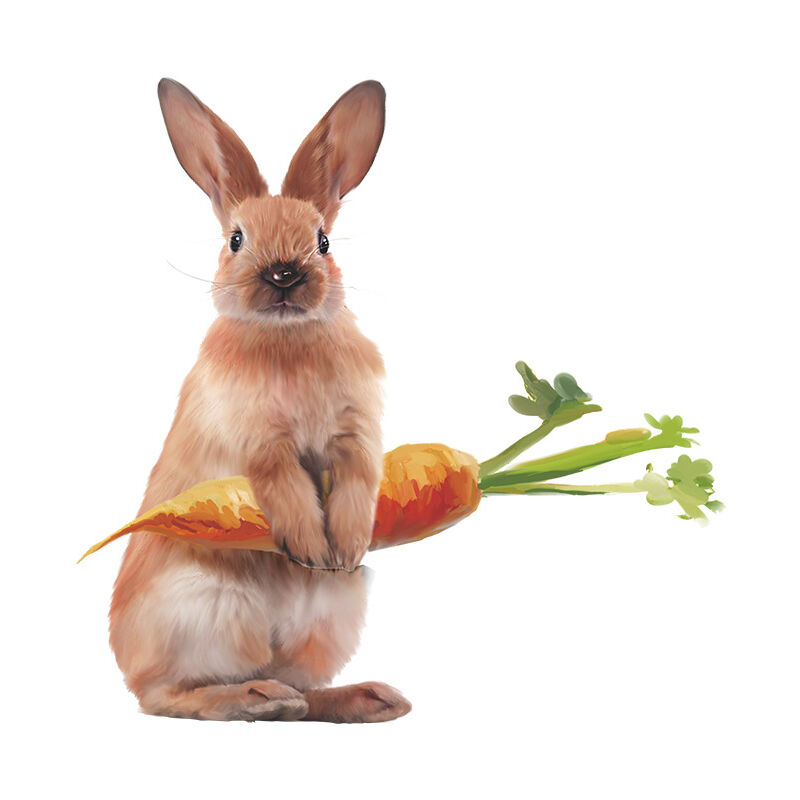foto del prodotto bebusingoto un set di simpatici adesivi murali a forma di coniglio con carota, decorazione da parete per soggiorno, ufficio, camera da letto