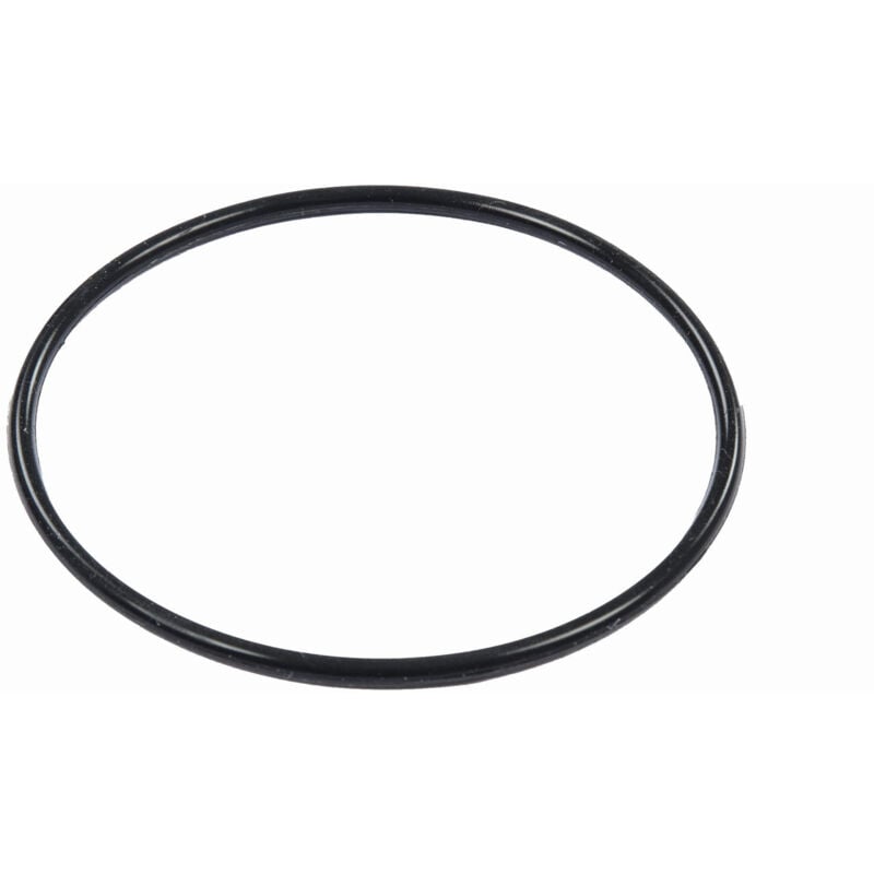 foto del prodotto bestway p6664ass16 guarnizione di ricambio o ring per pompa filtro flowclear 58397, 58634, 58515 