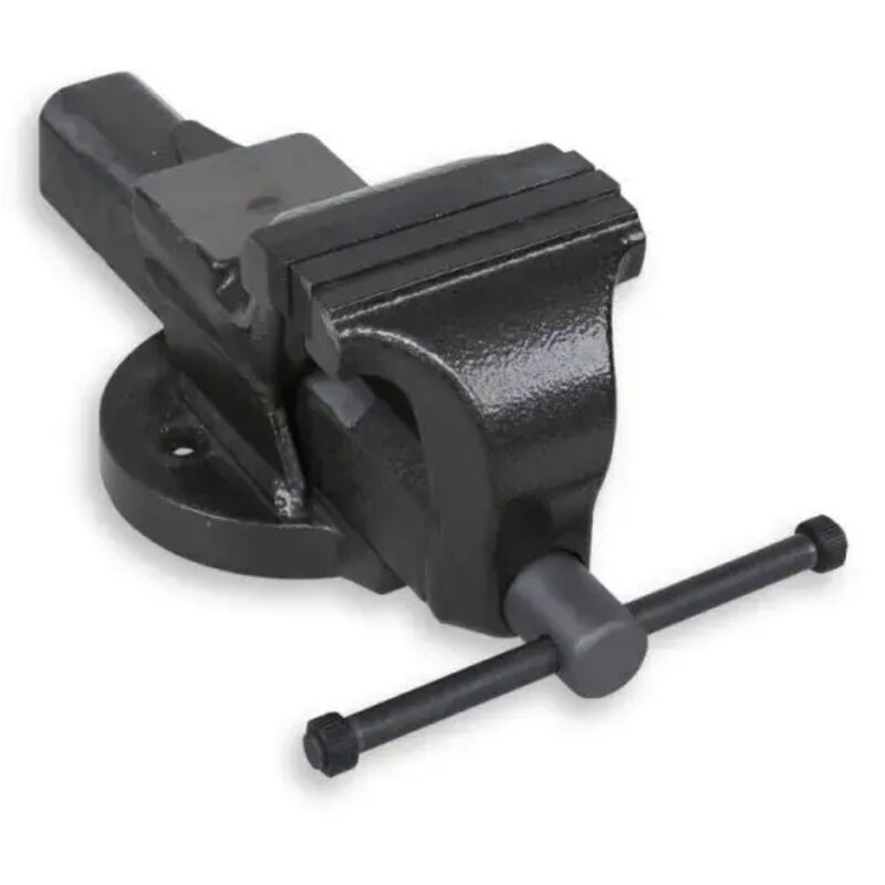 foto del prodotto beta 1599gi morse parallele da banco con ganasce intercambiabili 125 mm