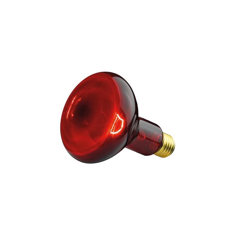 foto del prodotto beurer riscaldatore di ricambio 100 watt di philips per lampada a infrarossi