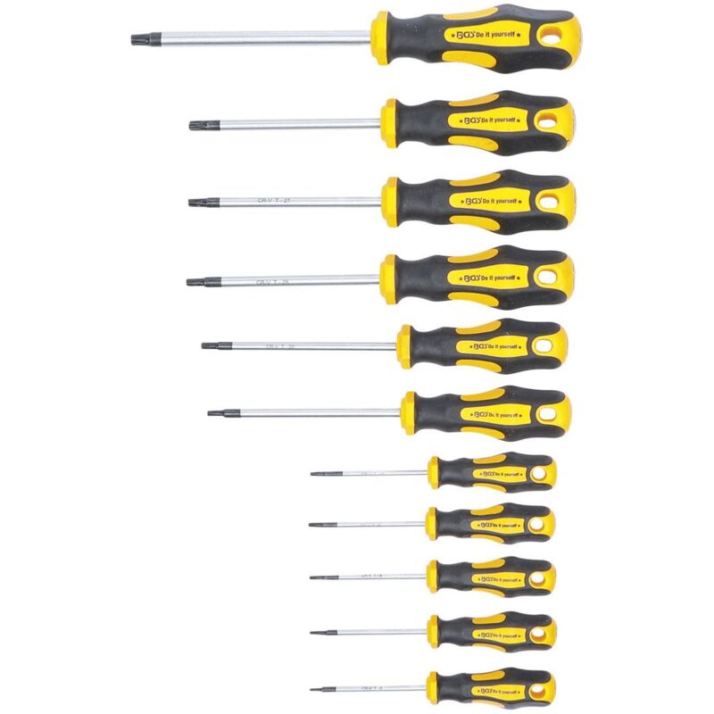 foto del prodotto bgs do it yourself set di cacciaviti torx t6 7 8 9 10 15 20 25 27 30 40 bgs diy