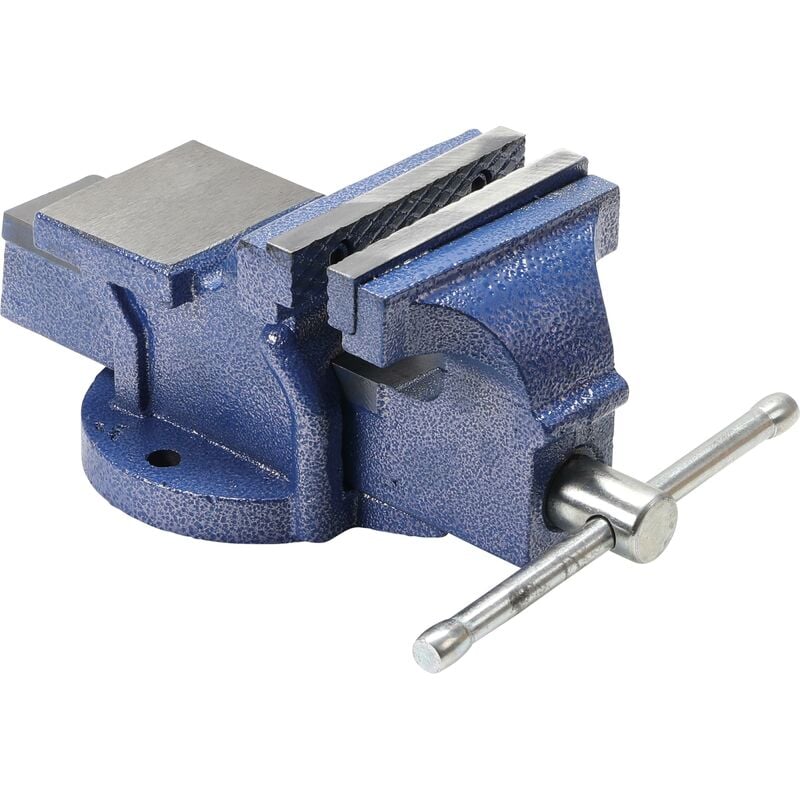 foto del prodotto bgs technic morsa parallela ganasce 100 mm