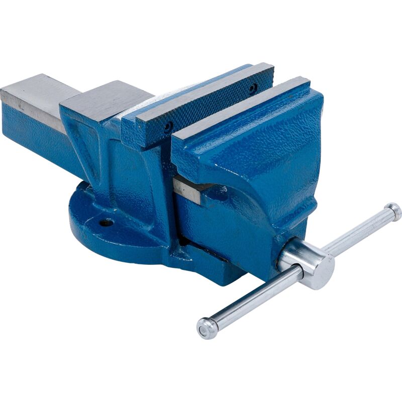 foto del prodotto bgs technic morsa parallela ganasce 150 mm