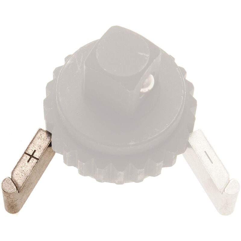 foto del prodotto bgs technic piastrina di ricambio per cricchetti per chiave dinamometrica per 965