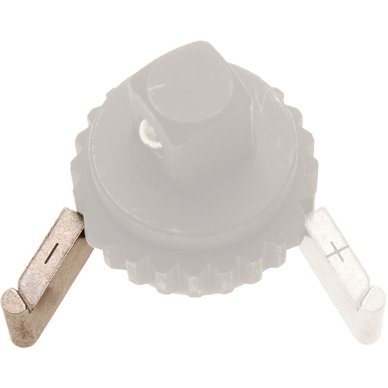 foto del prodotto bgs technic piastrina di ricambio per cricchetti per chiave dinamometrica per 968