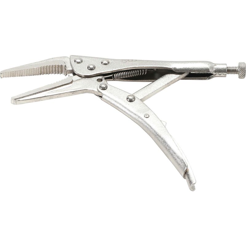 foto del prodotto bgs technic pinza di bloccaggio becco lungo 170 mm