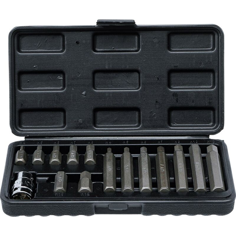 foto del prodotto bgs technic serie di inserti attacco esagono esterno 10 mm 3 8 esagono interno 15 pz.