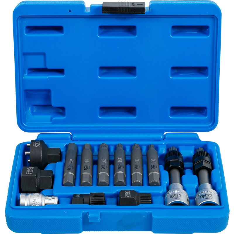 foto del prodotto bgs technic serie di inserti per alternatori 12,5 mm 1 2 13 pz.