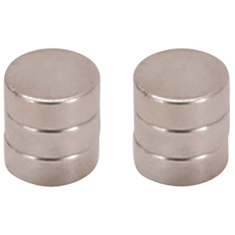 foto del prodotto bgs technic serie di magneti extra forte 8 mm 6 pz.