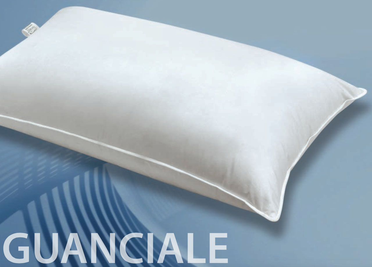 foto del prodotto biancheriaweb guanciale letto 90 piumino d oca 10 piumette