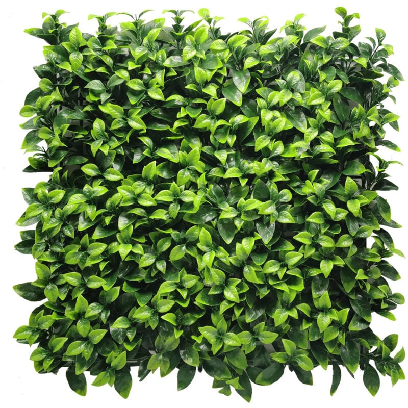 foto del prodotto biancheriaweb siepe artificiale a parete decorazione interni design modello diva, misura100x100colorediva