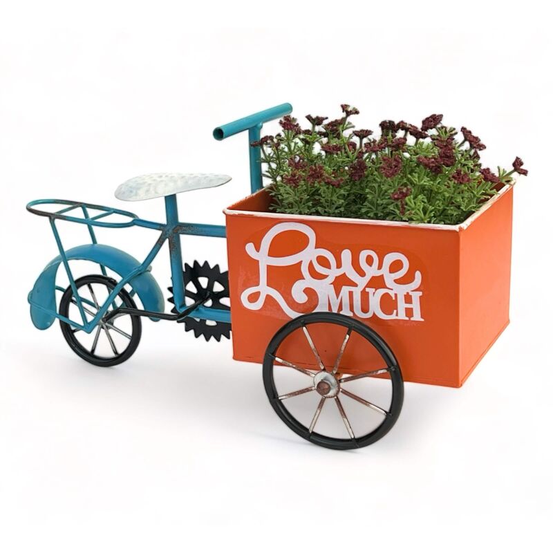 foto del prodotto bicicletta da fiori per giardino bicicletta in piedi in metallo blu arancione 96530 bicicletta per piante bicicletta decorativa per fiori dandibo