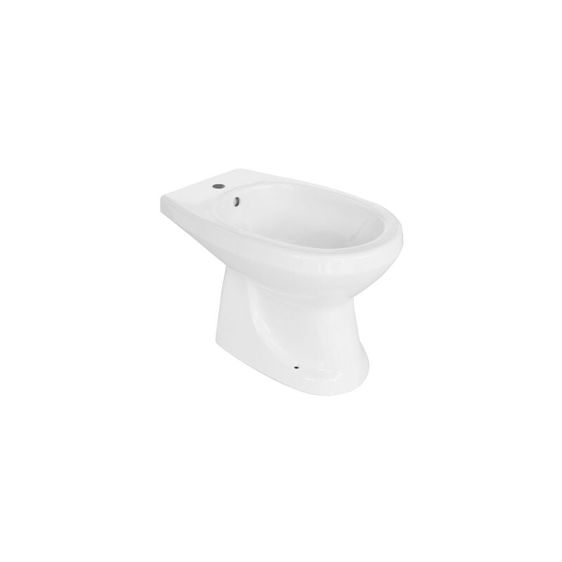 foto del prodotto bidet a terra in porcellana bianca con motivo felce