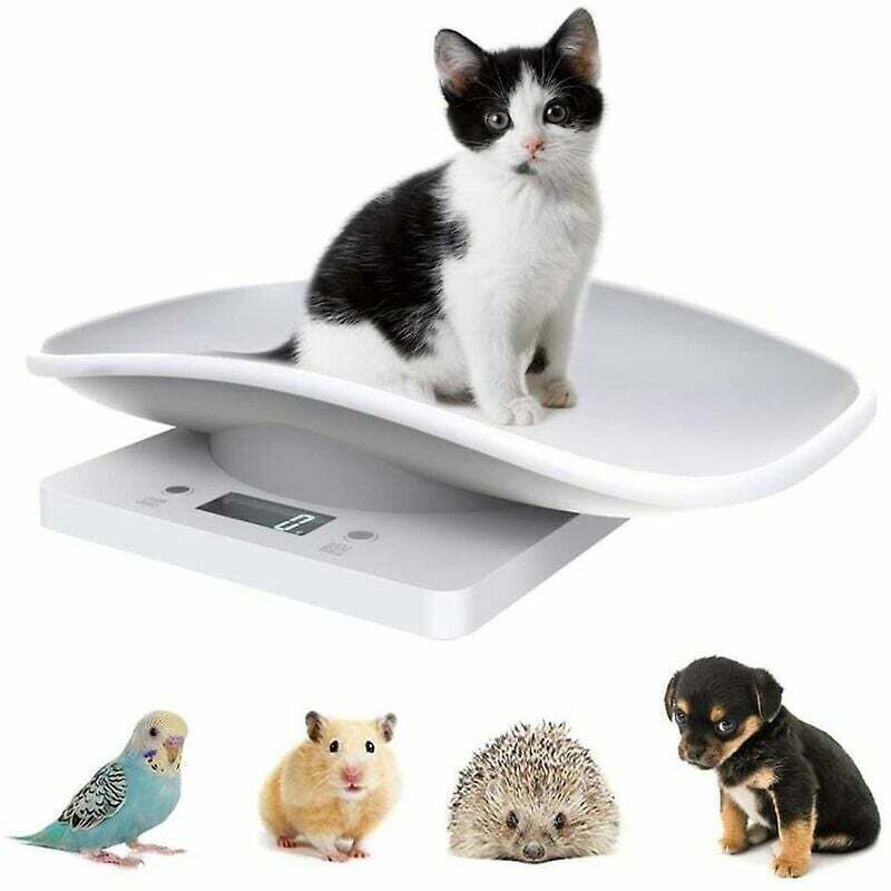 foto del prodotto bilancia elettronica per animali domestici, piccola bilancia digitale, display lcd da 10 kg 1 g strumento di pesatura per misurazione di precisione