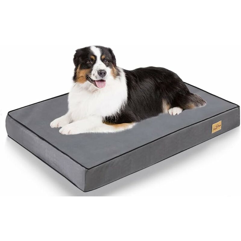 foto del prodotto bingo paw materassino cuccia per cane estiva divanetto letto per cani taglia media grande 105x70x10cm