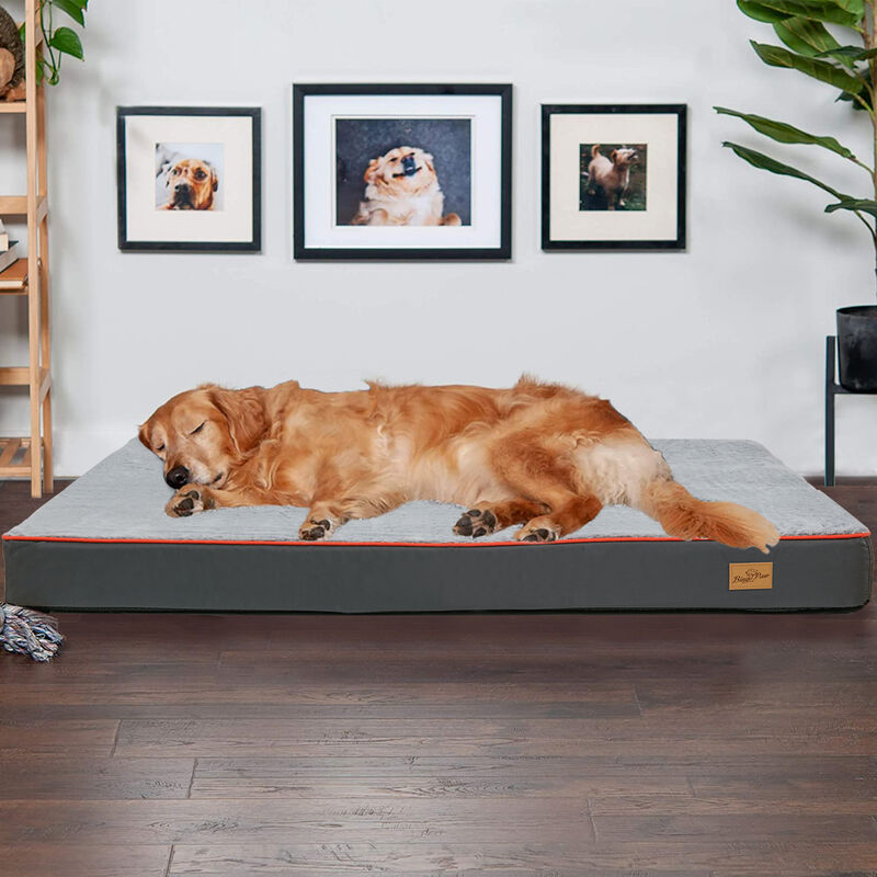 foto del prodotto bingo paw materassino letto cane materasso cuccia divano per cane lavabile 95x70x8cm