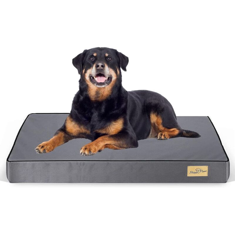 foto del prodotto bingopaw cama perro grande desenfundable desenfundable lavable colchoneta de espuma ortopedica, m 78x48x8cm