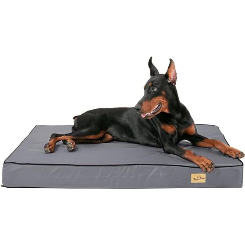 foto del prodotto bingopaw cama perro grande desenfundable desenfundable lavable colchoneta de espuma ortopedica, xxl 120x75x10cm