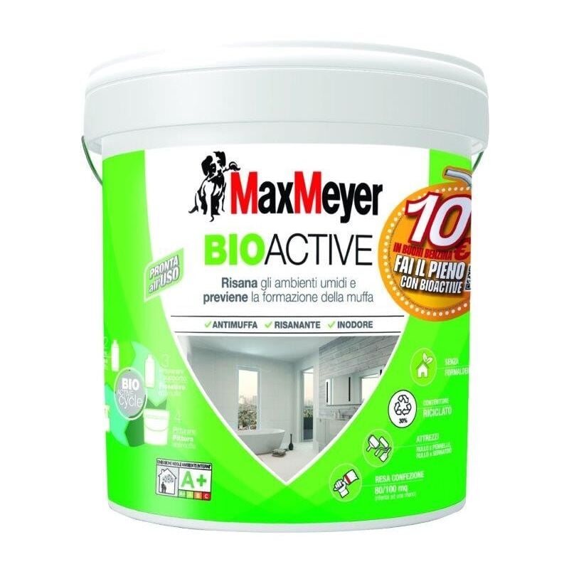 foto del prodotto bioactive a pittura antimuffa lt.10
