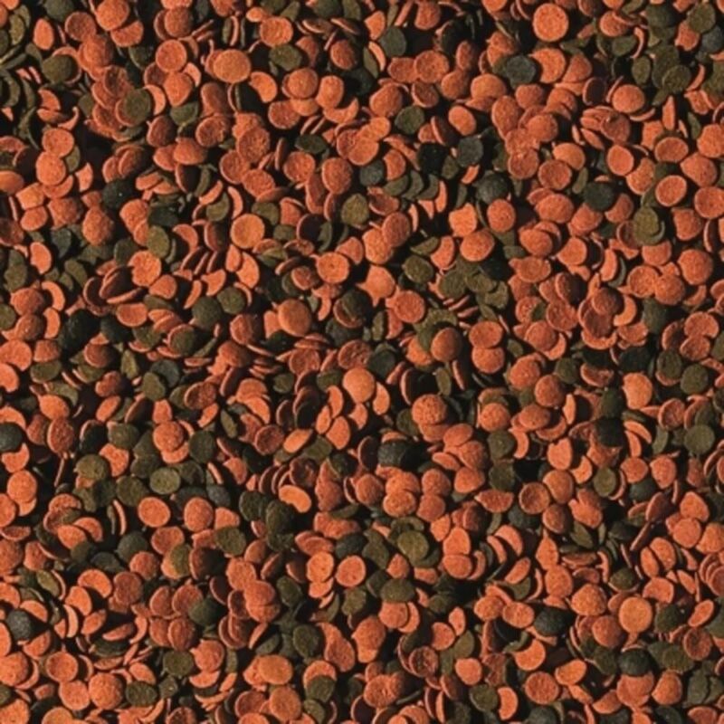 foto del prodotto bionautic chips mangime base per pesci marini di taglia medio grande formato 250 ml tropical