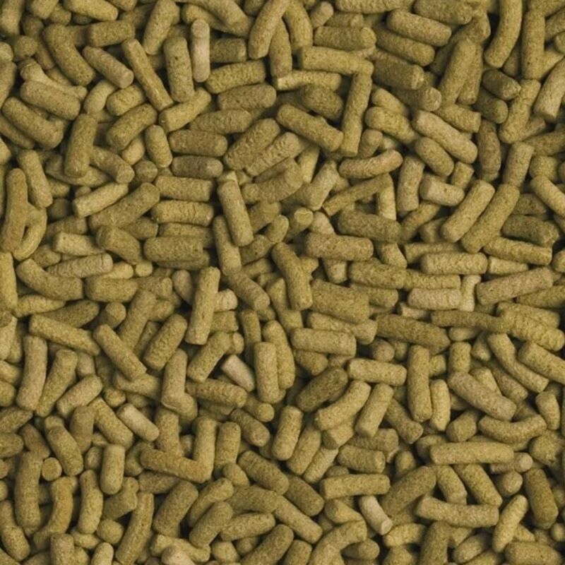 foto del prodotto biorept l stick ricchi di ingredienti per tartarughe terrestri formato 100 ml tropical