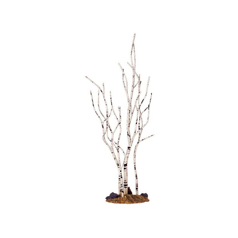 foto del prodotto birch tree medium cod. 34967
