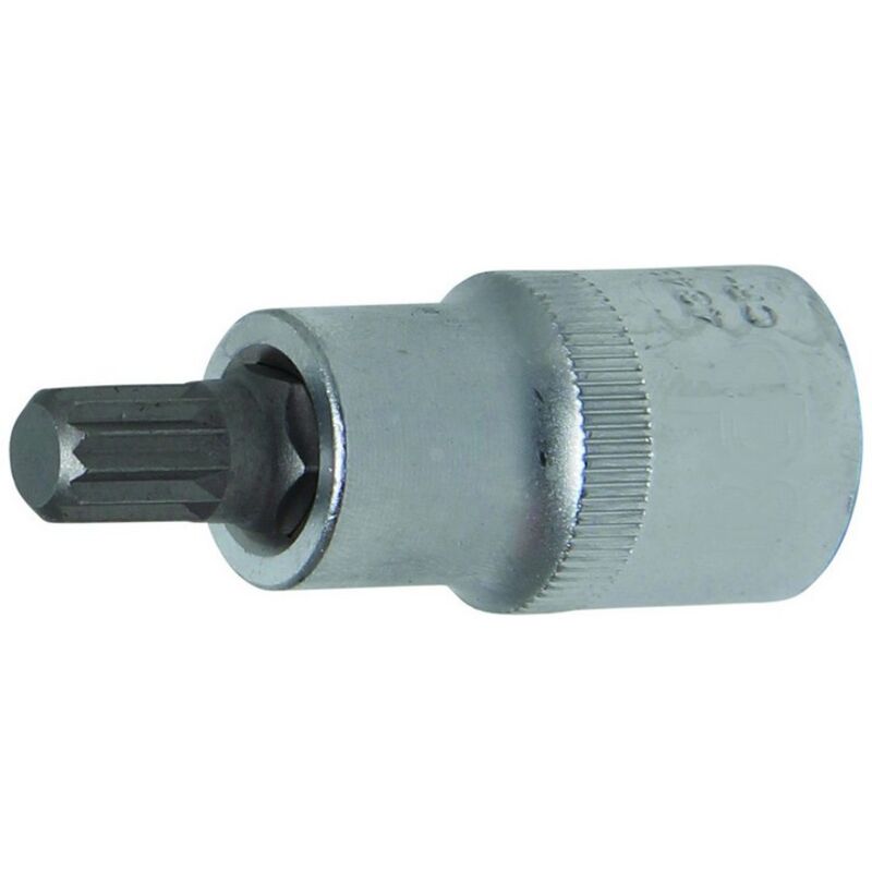 foto del prodotto bitti spline, xzn, multident square 1 2 al dettaglio - bitscarr12 xzn 12 mm lungo 55 mm