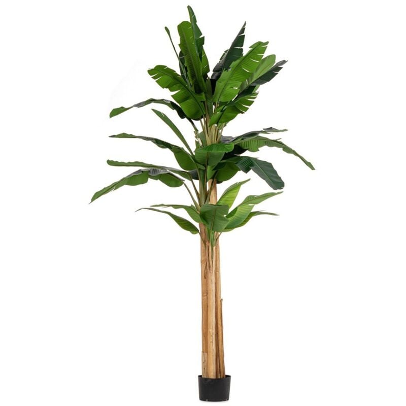 foto del prodotto bizzotto pianta artificiale banano con vaso nero, foglie in gomma, realistica 280 cm 24 foglie