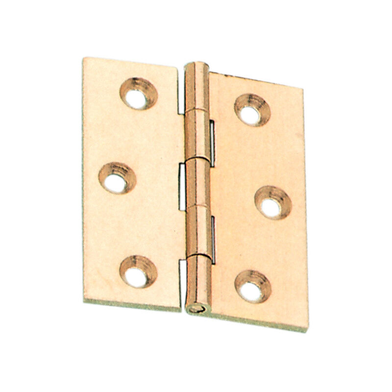 foto del prodotto bl cerniere fr. piane o.s. 50x40 pz.2 