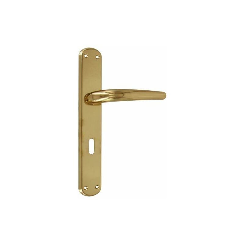 foto del prodotto bl maniglia torino q 8 70 oro lucido v 4 bl