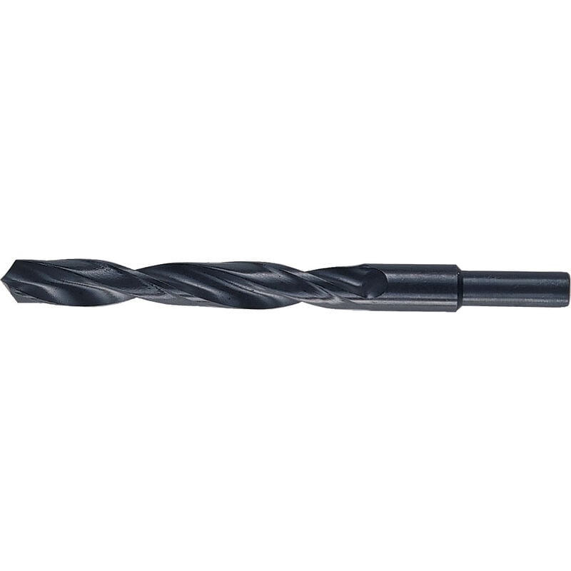 foto del prodotto bl punta hss codolo mm.10 gr.16