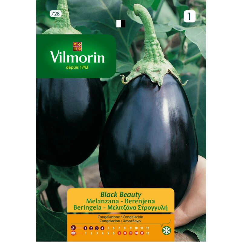 foto del prodotto black berenjena seeds black beauty s 1, 3 gr vilmorin