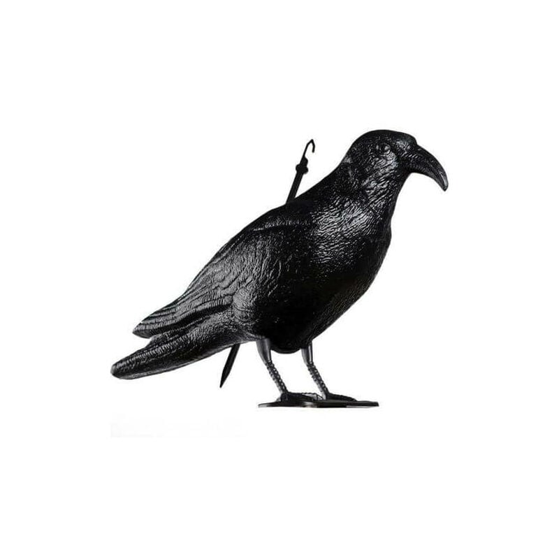 foto del prodotto blinky corvo caccia dissuasore uccelli volatili spaventa passeri repellente 35066 
