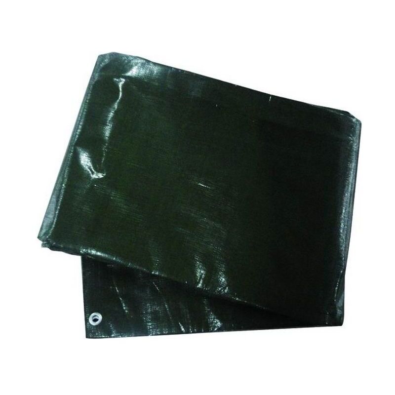 foto del prodotto blinky telone antistrappo extra pes verde 10x12 m