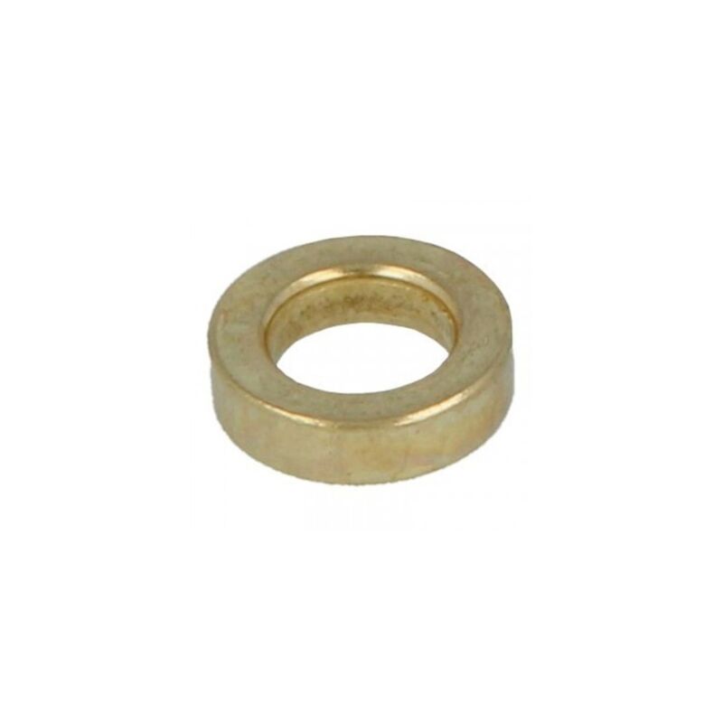 foto del prodotto blister 10 rondella cerniera 403 405 9,5mm ottone 29030 amig