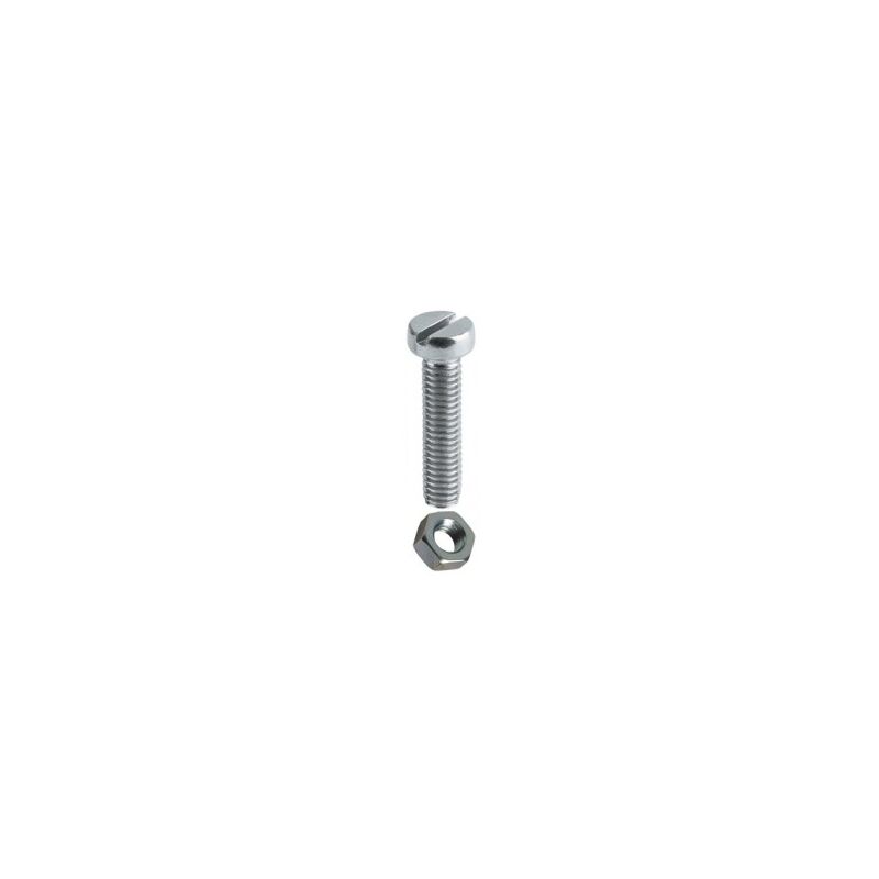 foto del prodotto blister 14 vite con dado 3x20mm din 84