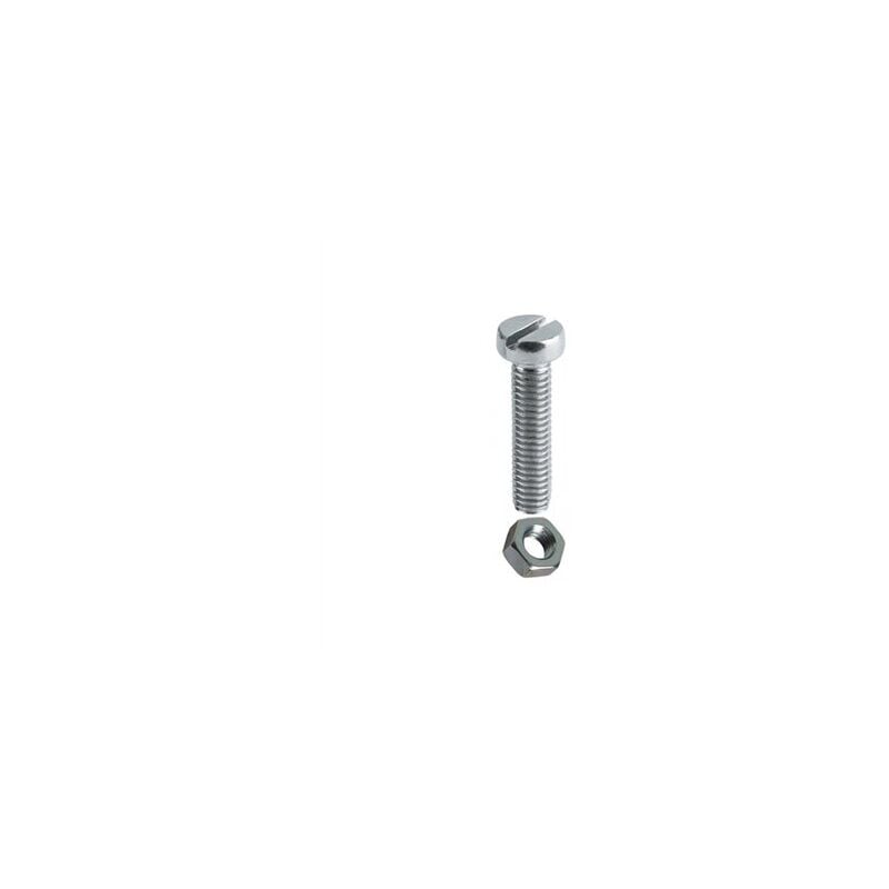 foto del prodotto blister 16 vite con dado 3x10mm din 84