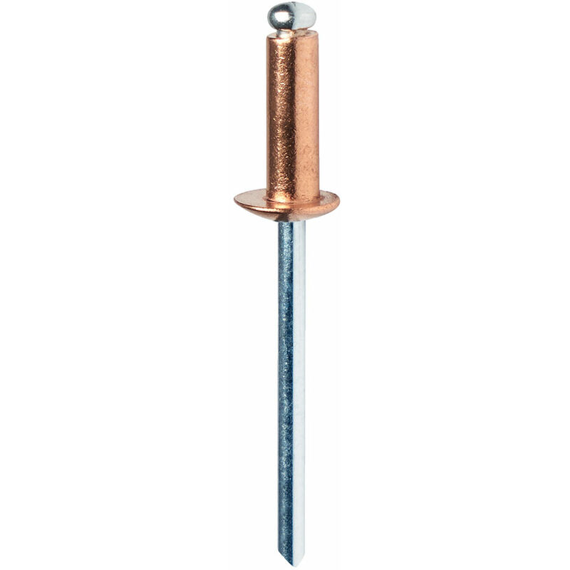 foto del prodotto blister 50 rivetti 4x10mm alu punta ramata 5001462 rapid o