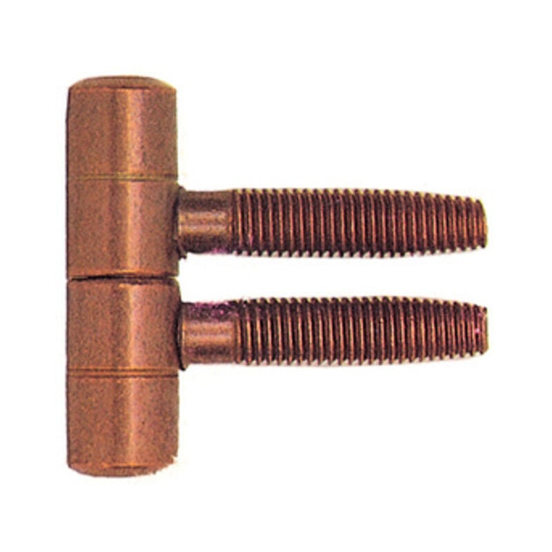 foto del prodotto blister cerniera anuba acciaio ottonato d 16 mm. 2 pezzi