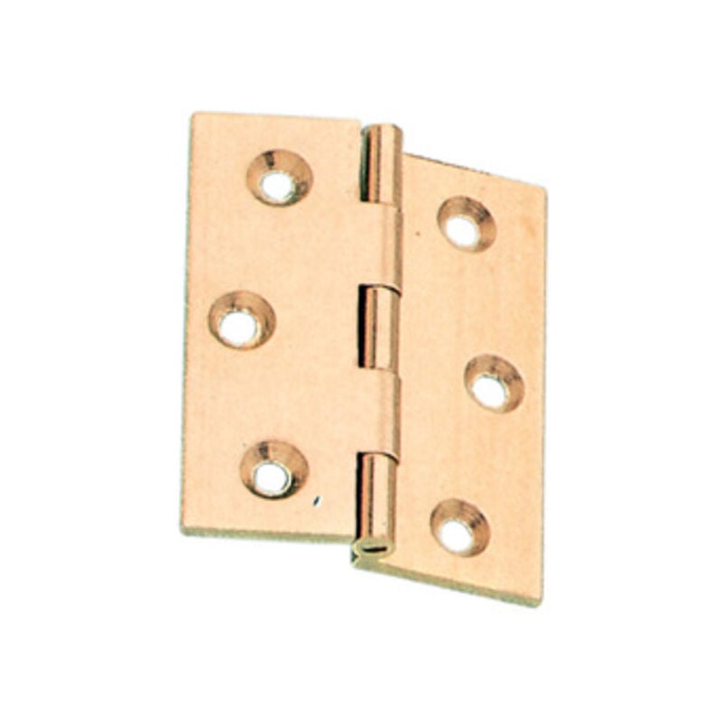 foto del prodotto blister cerniera fresata 1/2 collo ott sat 50x40 2 pezzi