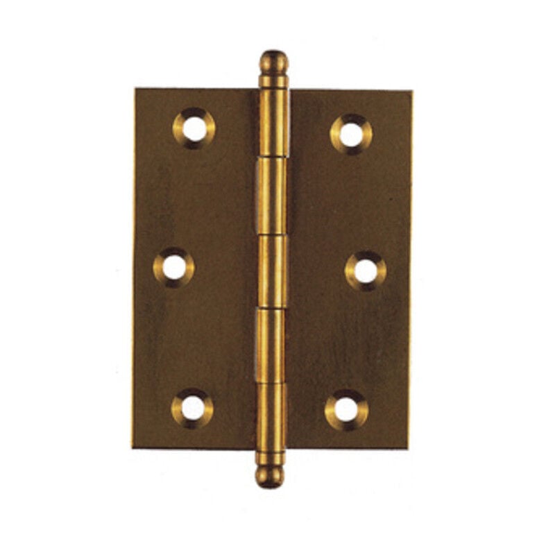 foto del prodotto blister cerniera ottone 60 x 100 mm. da 2 pezzi
