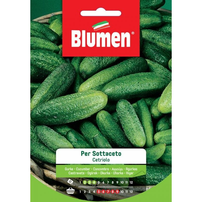 foto del prodotto blumem. semi di cetriolo per sottaceto