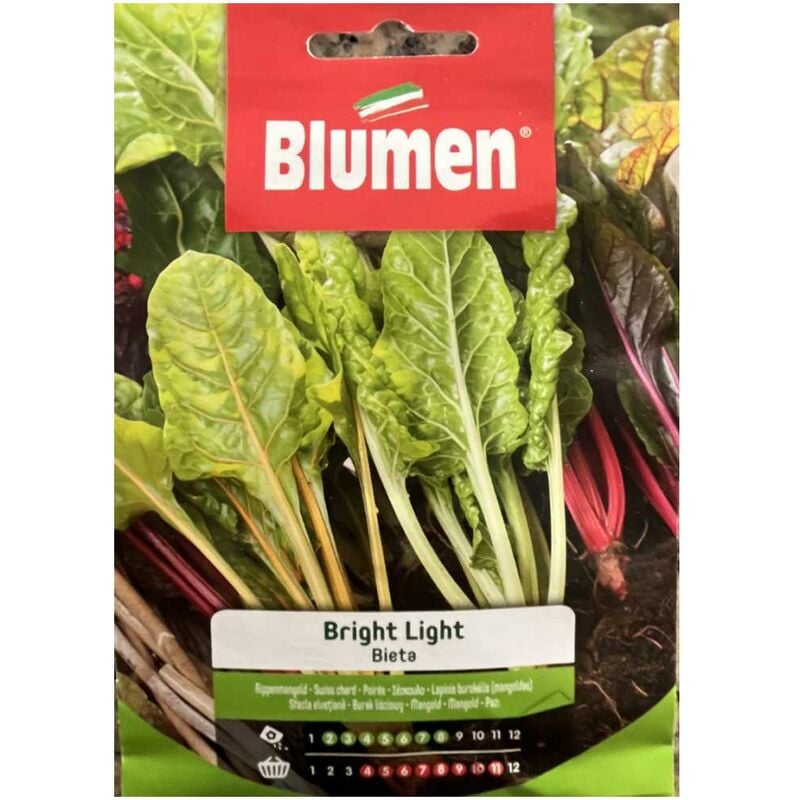 foto del prodotto blumen semi bieta bright lights sementi