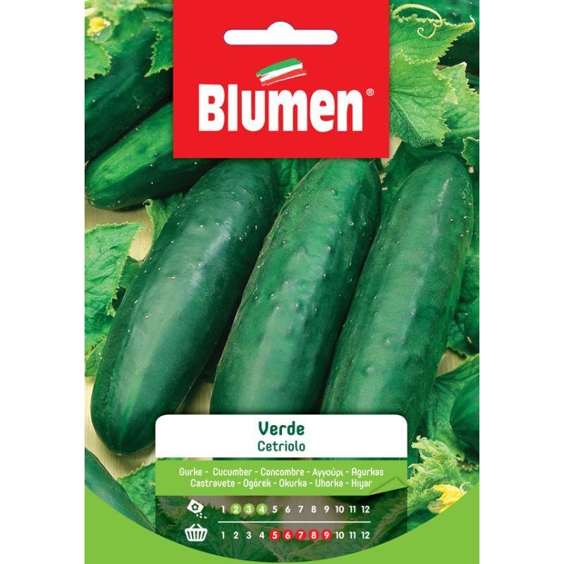 foto del prodotto blumen semi di cetriolo verde