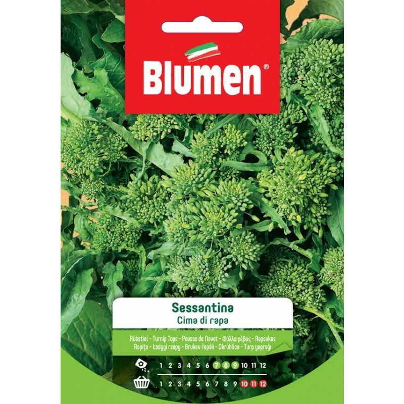 foto del prodotto blumen. semi di cima di rapa sessantina